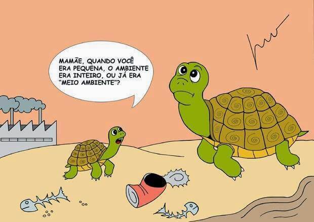 Charge: professorridaltovaz.blogspot.com