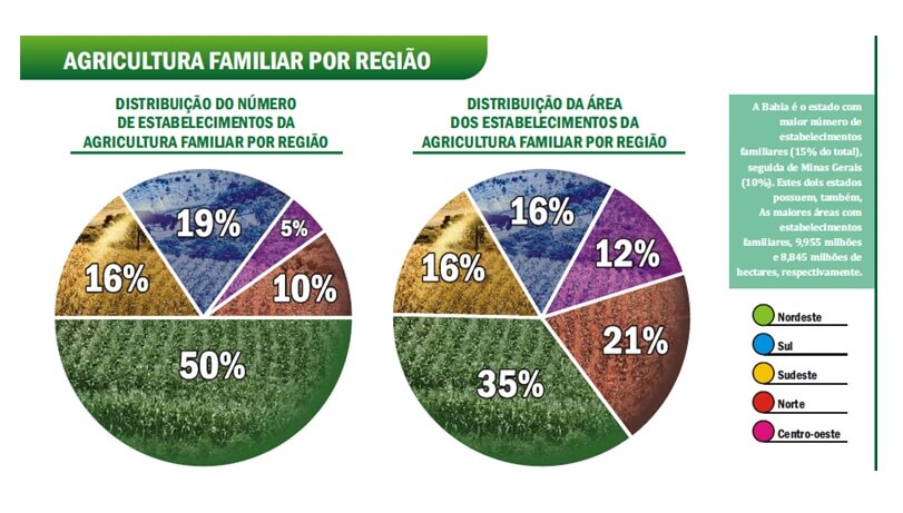 Imagem: sebraemercados.com.br