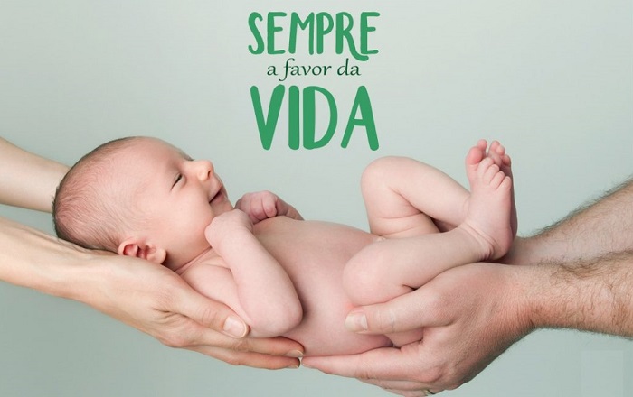 Foto: catedraldepalmas.com.br