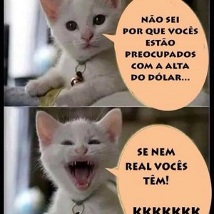 dolas