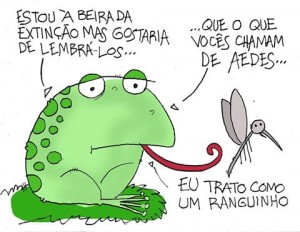 sapoo
