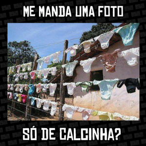 calcinha
