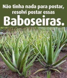 babo