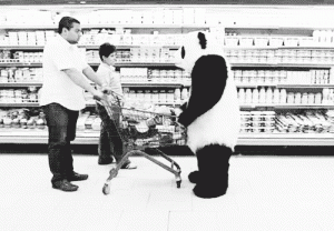 panda