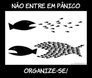 org