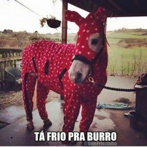 bur