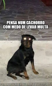 cach