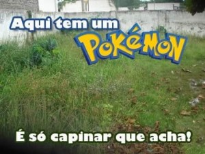 pokl
