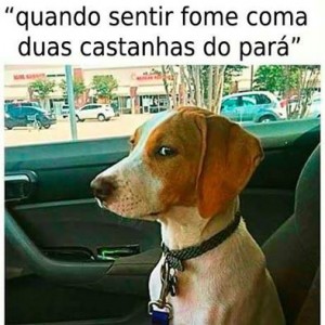 castranh