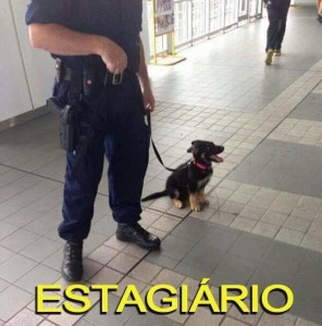 ESTAG