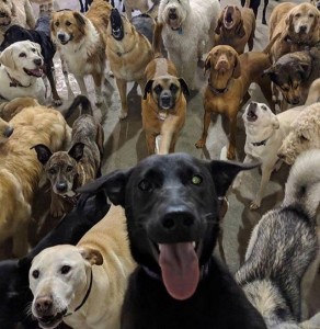 selfie