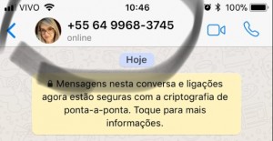 Kelly Cadamuro WhatsApp