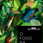 fogo na floresta