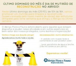 domingo1