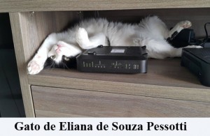 Crédito: Arquivo Pessoal. Gato de Eliana de Souza Pessotti em posição inusitada, matéria Bichos.
