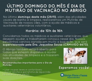 hoje (3)