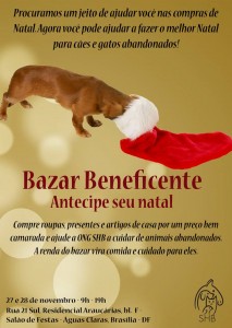 hoje (5)