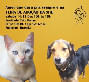 sábado2