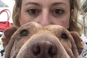 Veterinária Katia Chubaci  decidiu fazer dos últimos dias de Cricri os mais felizes de sua vida