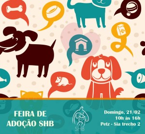 domingo1