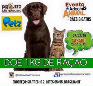 sábado (1)