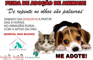 sabado2