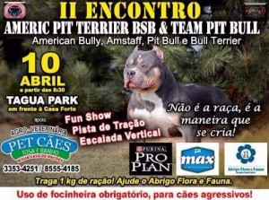 domingo (1)