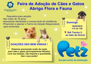 domingo (2)