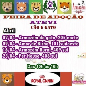 sabado (3)