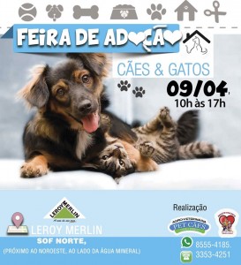 sabado (4)