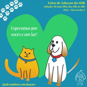 13267832_