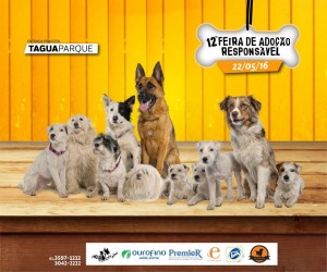 Domingo1