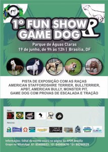 domingo (2)