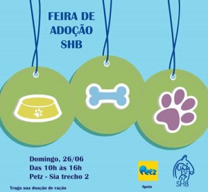 domingo1