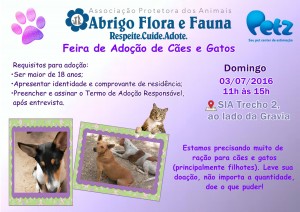 domingo1