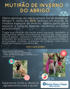 domingo2