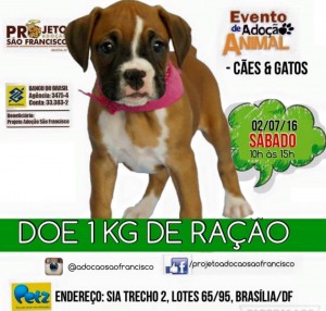 sabado1