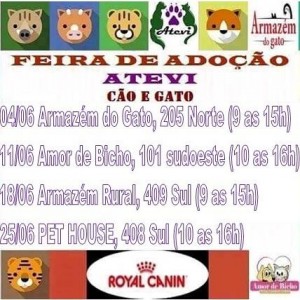 sabado1