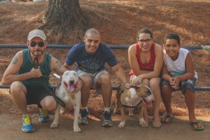 foto: Rosemberg Arruda /Divulgaçao.  Encontro de raças.Último encontro de bull terrier no parque da cidade.