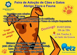 Domingo2