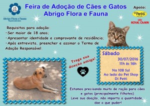 sabado5