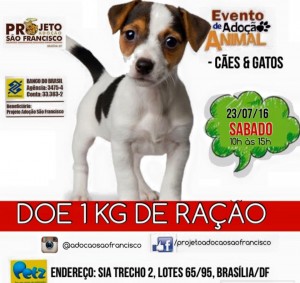 sabados (4)