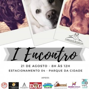 domingo1