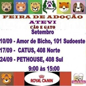 imagem de cartaz de feira de adoção de pets