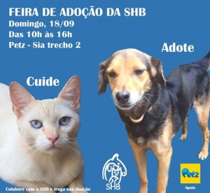 cartaz da feira de adoção pet da SHB