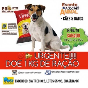 imagem de cartaz de feira de adoção de pets