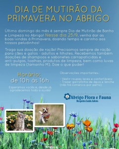cartaz do mutirão de limpeza do Abrigo Flora e Fauna Pets