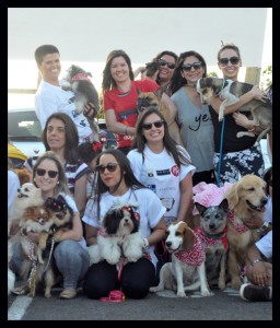 foto de cães e seus tutores durante sessão no cine Drive in em Brasília onde acnteceu a apresentação do filme Pets - a vida secreta dos bichos