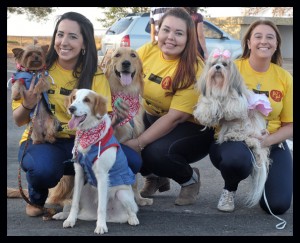 foto de cães e seus tutores durante sessão no cine Drive in em Brasília onde acnteceu a apresentação do filme Pets - a vida secreta dos bichos