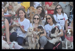 foto de cães e seus tutores durante sessão no cine Drive in em Brasília onde acnteceu a apresentação do filme Pets - a vida secreta dos bichos